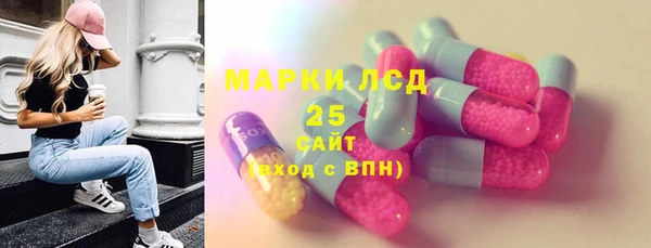 хмурый Алзамай