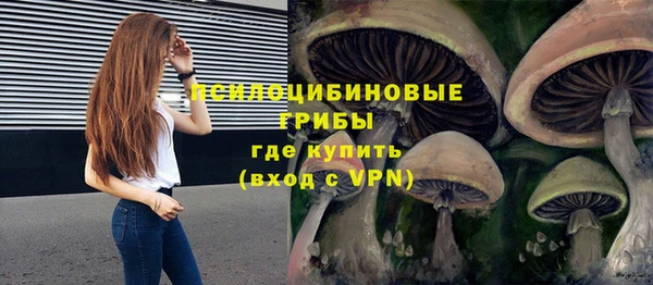 mdpv Армянск