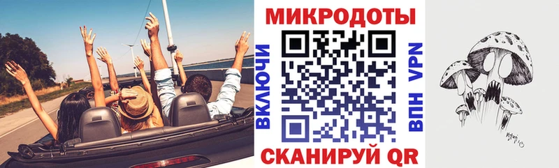 Псилоцибиновые грибы прущие грибы закладки Сельцо